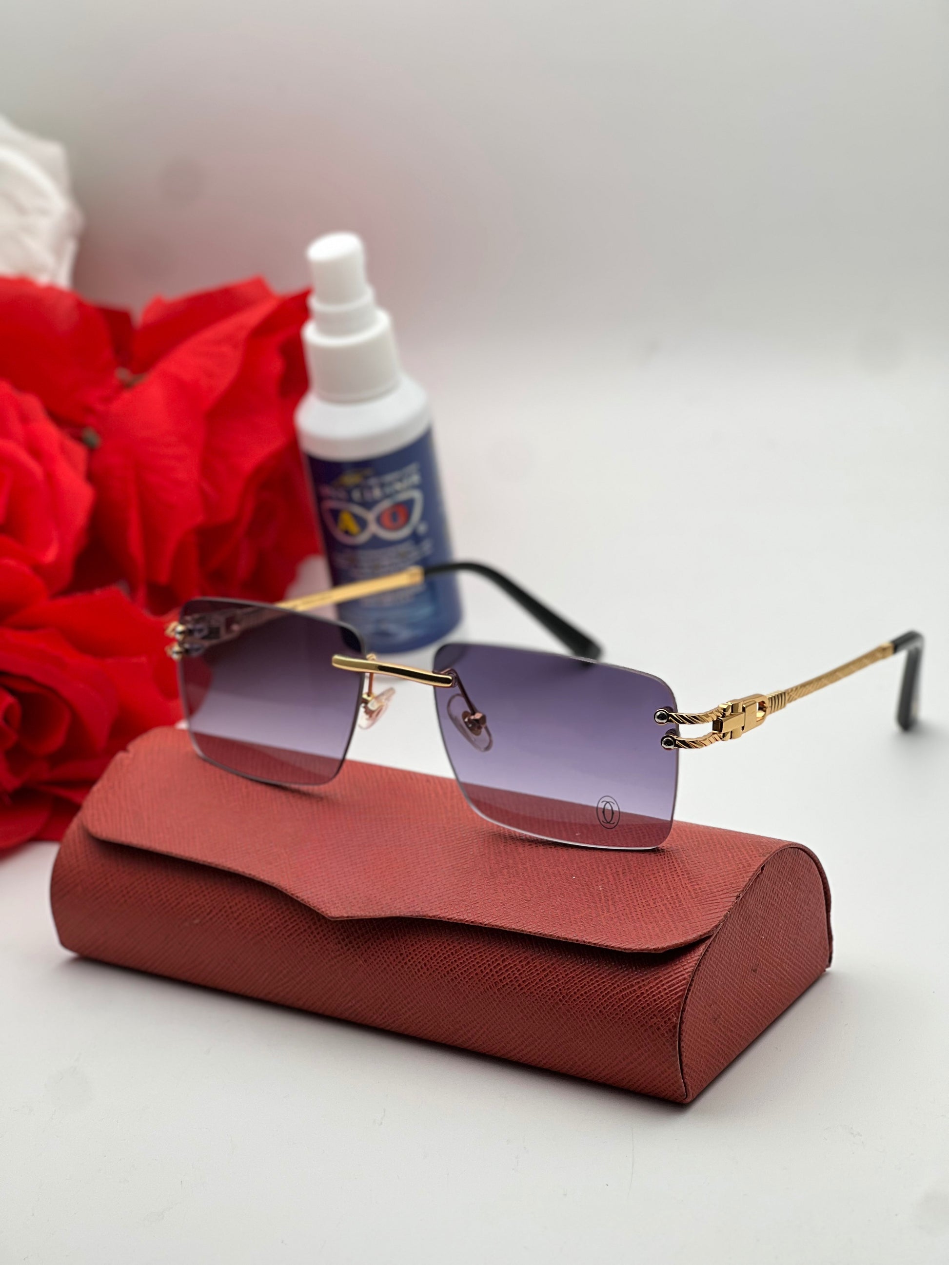 Lunette 12