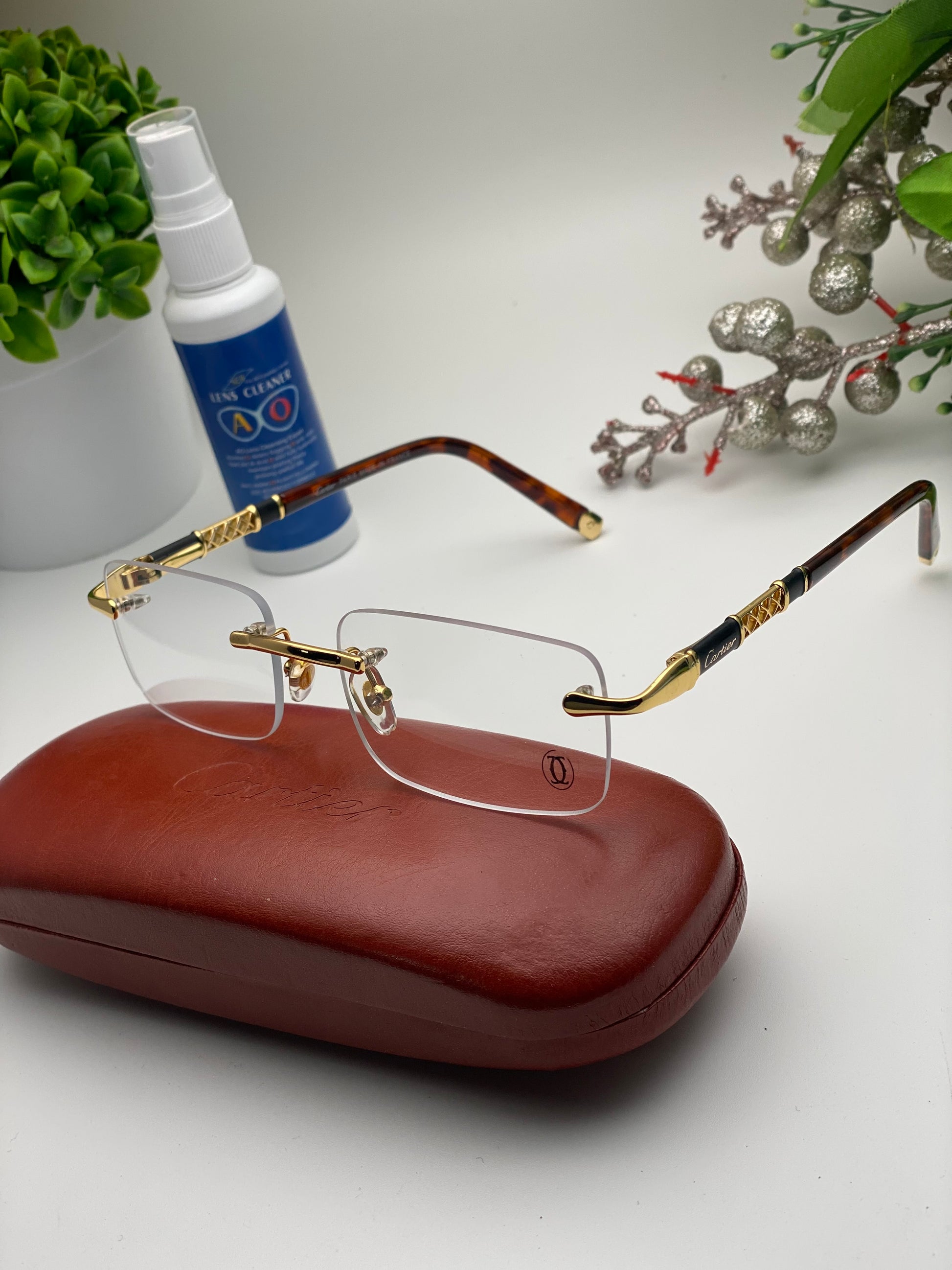LUNETTE 49